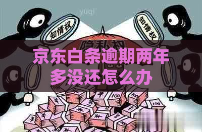 京东白条逾期两年多没还怎么办