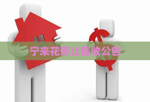 宁来花停止公告