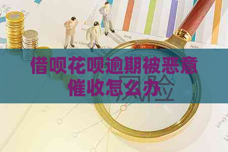 信用卡白条逾期被恶意怎么办