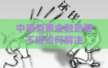 中原消费金融逾期不借如何解决