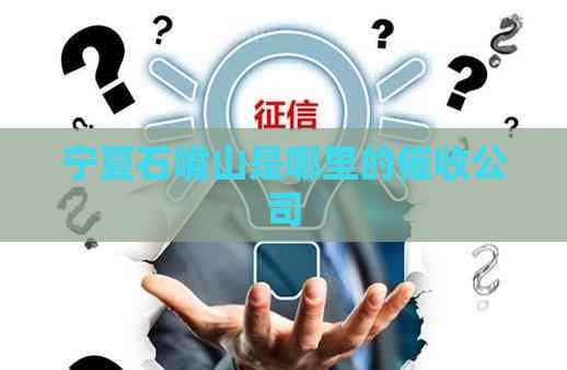 宁夏石嘴山是哪里的公司