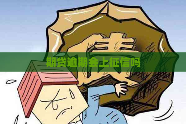 期贷逾期会上吗