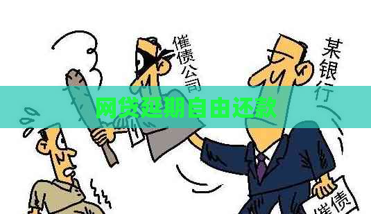 网贷延期自由还款
