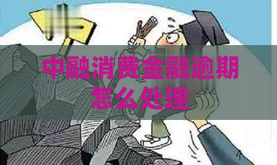 中融消费金融逾期怎么处理