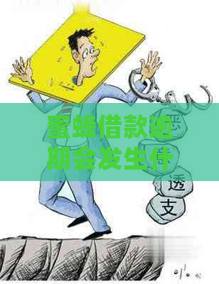 蜜蜂借款逾期会发生什么