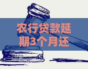 农行贷款延期3个月还款怎么申请流程详解