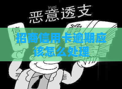 招商信用卡逾期应该怎么处理