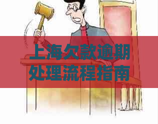 上海欠款逾期处理流程指南及银行咨询建议