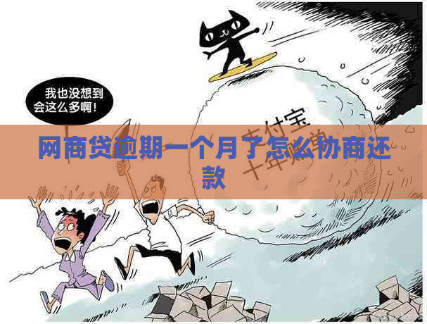 白条贷逾期一个月了怎么协商还款