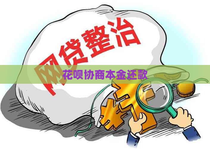 白条协商本金还款