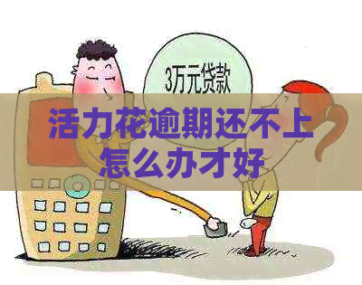 活力花逾期还不上怎么办才好