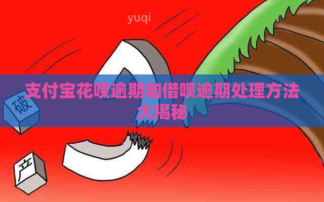 信用卡白条逾期和信用卡逾期处理方法大揭秘