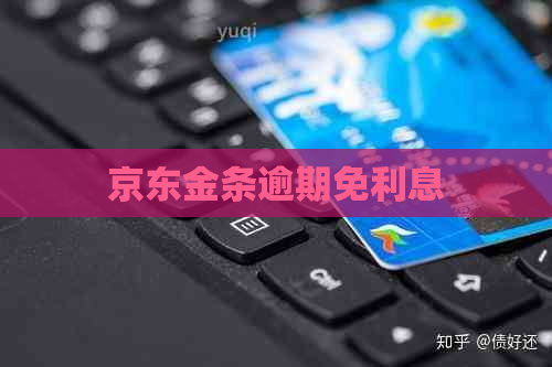 京东金条逾期免利息