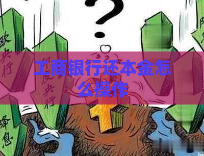工商银行还本金怎么操作