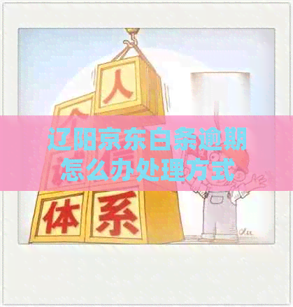 辽阳京东白条逾期怎么办处理方式