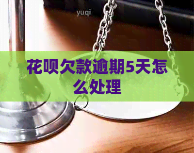 白条欠款逾期5天怎么处理