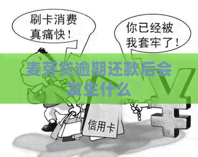 麦芽贷逾期还款后会发生什么