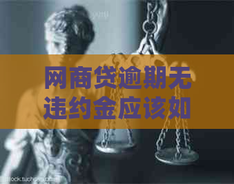 白条贷逾期无违约金应该如何处理