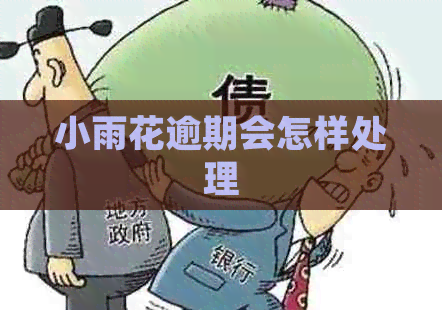 小雨花逾期会怎样处理