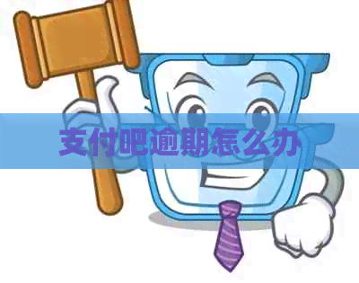 支付吧逾期怎么办
