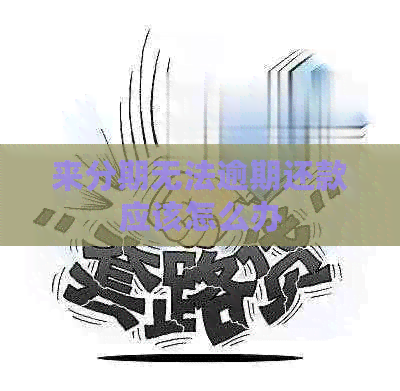 来分期无法逾期还款应该怎么办