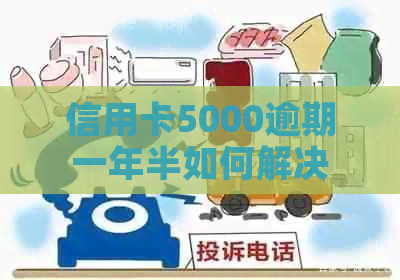 信用卡5000逾期一年半如何解决