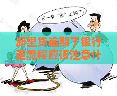 浙里贷逾期了银行走流程应该注意什么