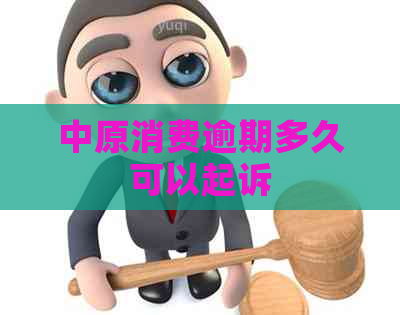 中原消费逾期多久可以起诉