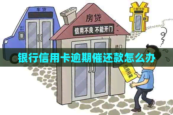 银行信用卡逾期催还款怎么办