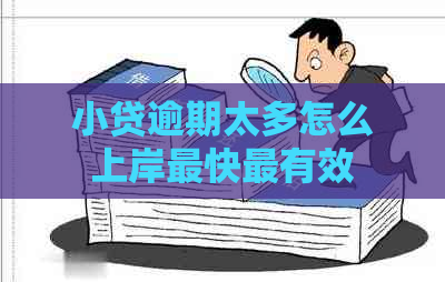 小贷逾期太多怎么上岸最快最有效