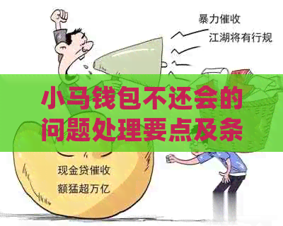 小马钱包不还会的问题处理要点及条件