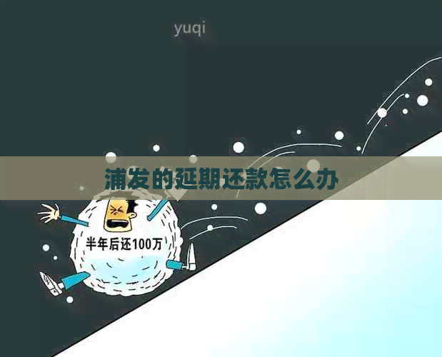 浦发的延期还款怎么办