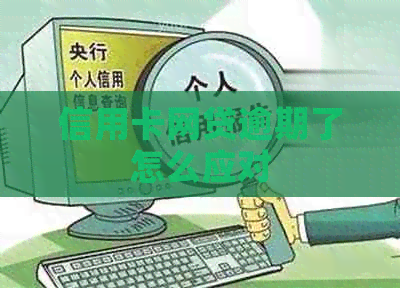 信用卡网贷逾期了怎么应对