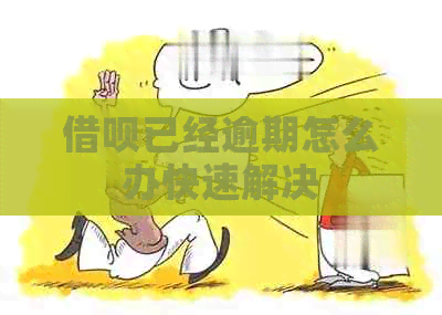 信用卡已经逾期怎么办快速解决