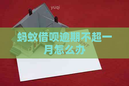 蚂蚁信用卡逾期不超一月怎么办