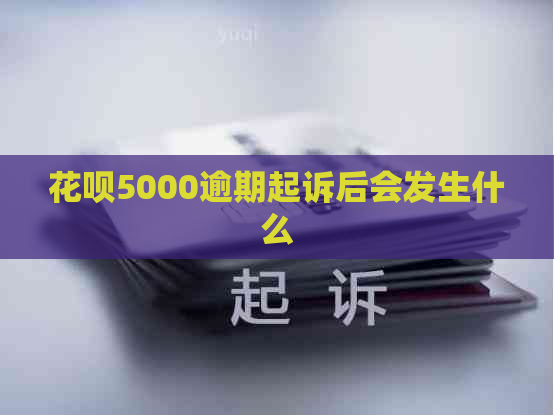 白条5000逾期起诉后会发生什么