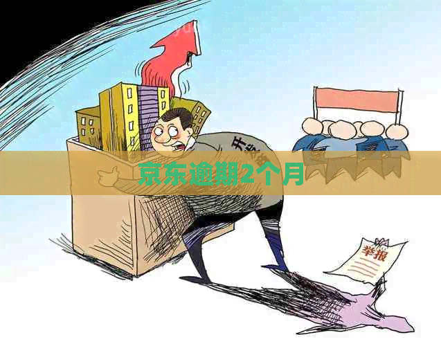 京东逾期2个月
