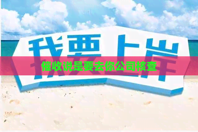 说是要去你公司核查