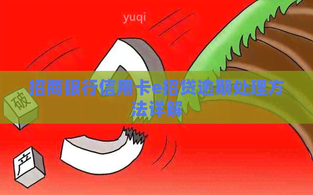招商银行信用卡e招贷逾期处理方法详解