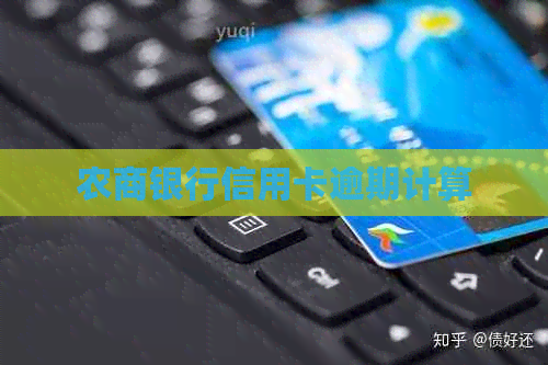 农商银行信用卡逾期计算