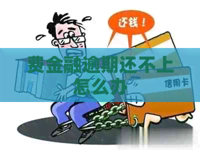 费金融逾期还不上怎么办