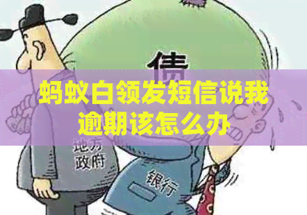 蚂蚁白领发短信说我逾期该怎么办