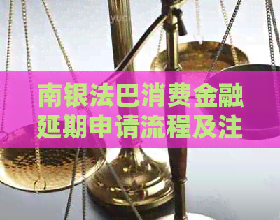 南银法巴消费金融延期申请流程及注意事项