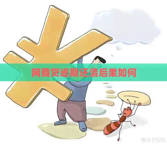 白条贷逾期还清后果如何