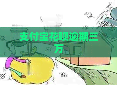 信用卡白条逾期三万