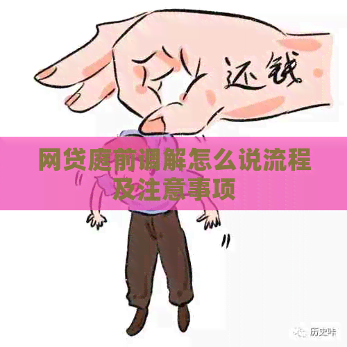 网贷庭前调解怎么说流程及注意事项