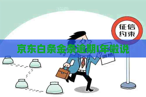 京东白条金条逾期I年啦说