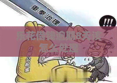 乐花借钱逾期8天该怎么处理