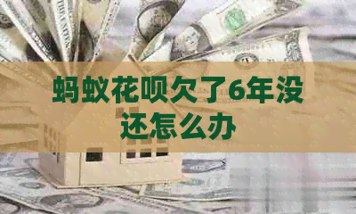 蚂蚁白条欠了6年没还怎么办
