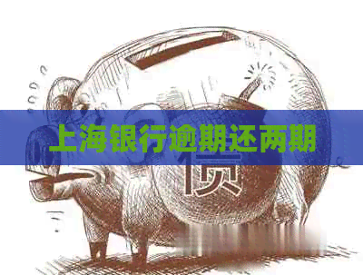 上海银行逾期还两期